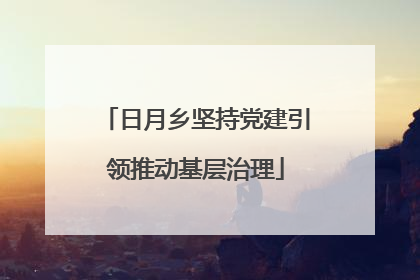 日月乡坚持党建引领推动基层治理