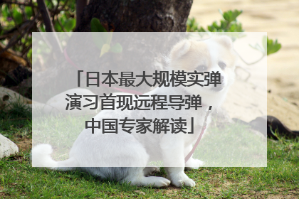 日本最大规模实弹演习首现远程导弹，中国专家解读