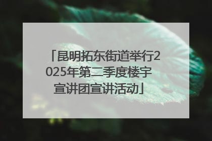 昆明拓东街道举行2025年第二季度楼宇宣讲团宣讲活动