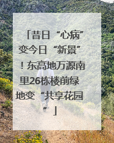昔日“心病”变今日“新景”！东高地万源南里26栋楼前绿地变“共享花园”