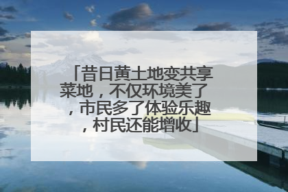 昔日黄土地变共享菜地，不仅环境美了，市民多了体验乐趣，村民还能增收