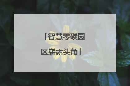智慧零碳园区崭露头角
