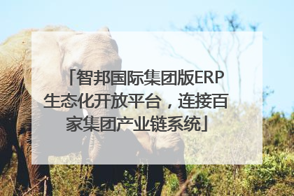 智邦国际集团版ERP生态化开放平台，连接百家集团产业链系统