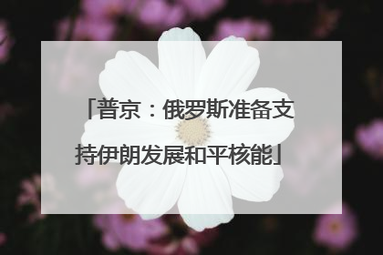 普京：俄罗斯准备支持伊朗发展和平核能