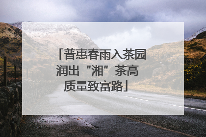 普惠春雨入茶园 润出“湘”茶高质量致富路