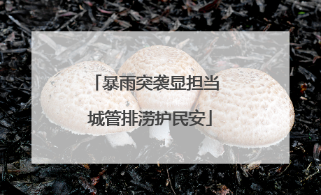 暴雨突袭显担当 城管排涝护民安