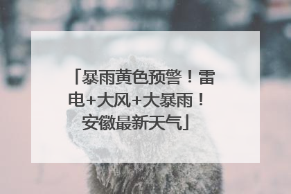 暴雨黄色预警！雷电+大风+大暴雨！安徽最新天气