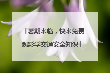 暑期来临，快来免费观影学交通安全知识