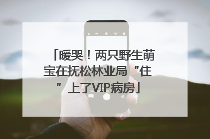 暖哭！两只野生萌宝在抚松林业局“住”上了VIP病房