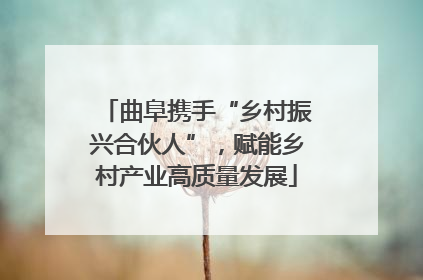 曲阜携手“乡村振兴合伙人”，赋能乡村产业高质量发展