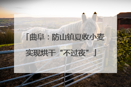 曲阜：防山镇夏收小麦实现烘干“不过夜”