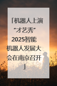 机器人上演“才艺秀” 2025智能机器人发展大会在南京召开