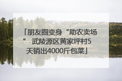 朋友圈变身“助农卖场” 武陵源区黄家坪村5天销出4000斤包菜