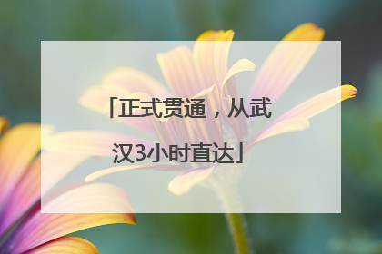正式贯通，从武汉3小时直达