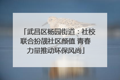 武昌区杨园街道：社校联合扮靓社区颜值 青春力量推动环保风尚