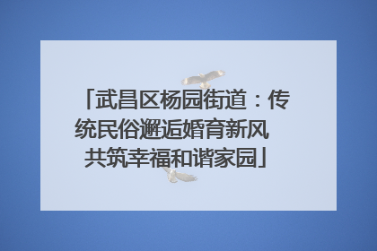 武昌区杨园街道：传统民俗邂逅婚育新风 共筑幸福和谐家园