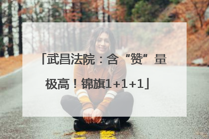 武昌法院：含“赞”量极高！锦旗1+1+1