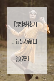 栾树花开，记录夏日浪漫