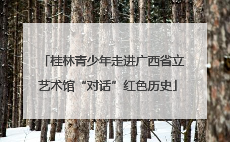 桂林青少年走进广西省立艺术馆“对话”红色历史