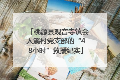 桃源县观音寺镇会人溪村党支部的“48小时”救援纪实