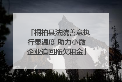 桐柏县法院善意执行显温度 助力小微企业追回拖欠租金