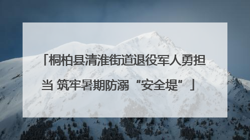 桐柏县清淮街道退役军人勇担当 筑牢暑期防溺“安全堤”