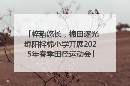 梓韵悠长，棉田逐光 绵阳梓棉小学开展2025年春季田径运动会