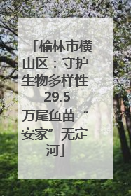 榆林市横山区：守护生物多样性 29.5万尾鱼苗“安家”无定河