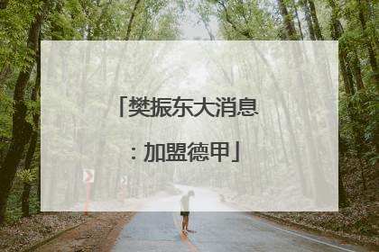 樊振东大消息：加盟德甲