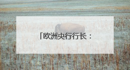 欧洲央行行长：美元主导地位正在变得不确定