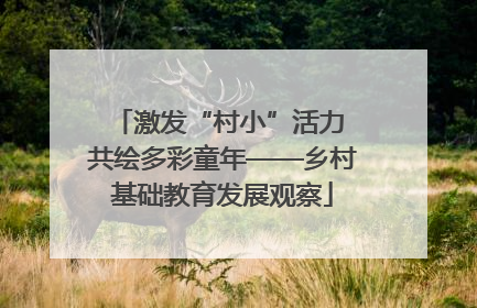 激发“村小”活力 共绘多彩童年——乡村基础教育发展观察