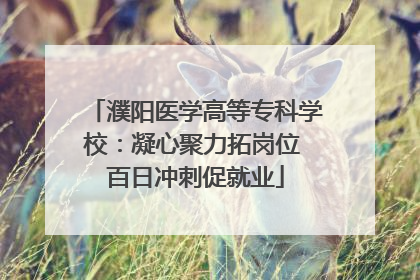濮阳医学高等专科学校：凝心聚力拓岗位 百日冲刺促就业