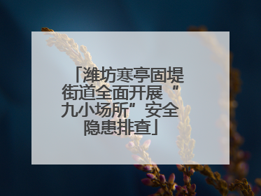 潍坊寒亭固堤街道全面开展“九小场所”安全隐患排查