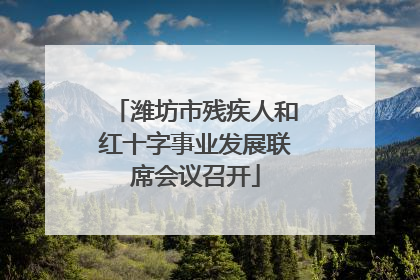 潍坊市残疾人和红十字事业发展联席会议召开