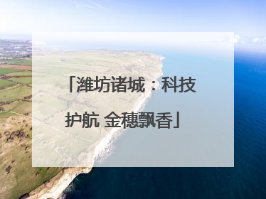 潍坊诸城：科技护航 金穗飘香