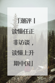 潮评丨读懂任正非访谈，读懂上升期中国