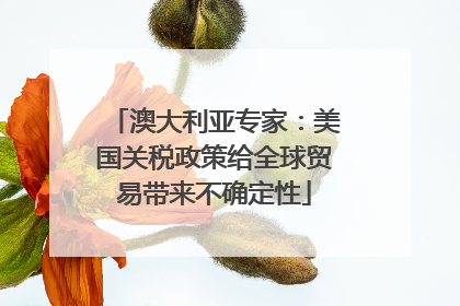 澳大利亚专家：美国关税政策给全球贸易带来不确定性