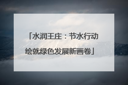 水润王庄：节水行动绘就绿色发展新画卷