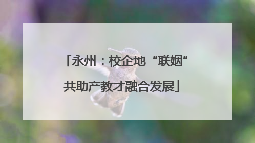 永州：校企地“联姻” 共助产教才融合发展