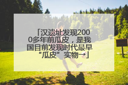 汉遗址发现2000多年前瓜皮，是我国目前发现时代最早“瓜皮”实物→