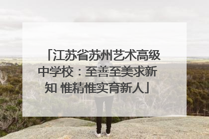 江苏省苏州艺术高级中学校：至善至美求新知 惟精惟实育新人