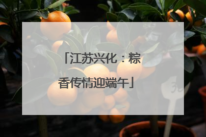 江苏兴化：粽香传情迎端午