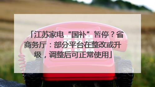 江苏家电“国补”暂停？省商务厅：部分平台在整改或升级，调整后可正常使用