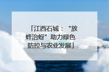 江西石城：“放蜂治蚜”助力绿色防控与农业发展