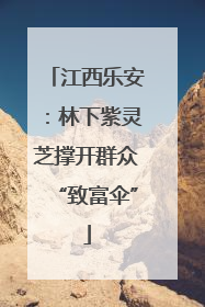 江西乐安：林下紫灵芝撑开群众“致富伞”