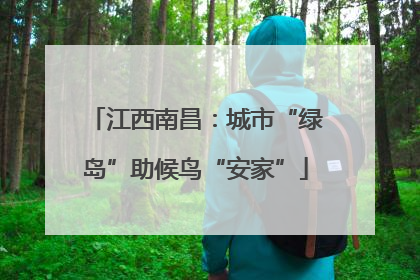 江西南昌：城市“绿岛”助候鸟“安家”