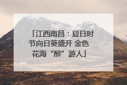 江西南昌：夏日时节向日葵盛开 金色花海“醉”游人