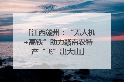 江西赣州：“无人机+高铁”助力赣南农特产“飞”出大山