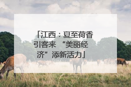 江西：夏至荷香引客来 “美丽经济”添新活力