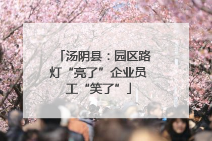汤阴县：园区路灯“亮了”企业员工“笑了”